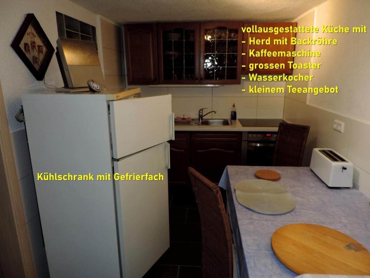 Die Ferienwohnung - Wittenberg An Den Elbwiesen Exterior foto