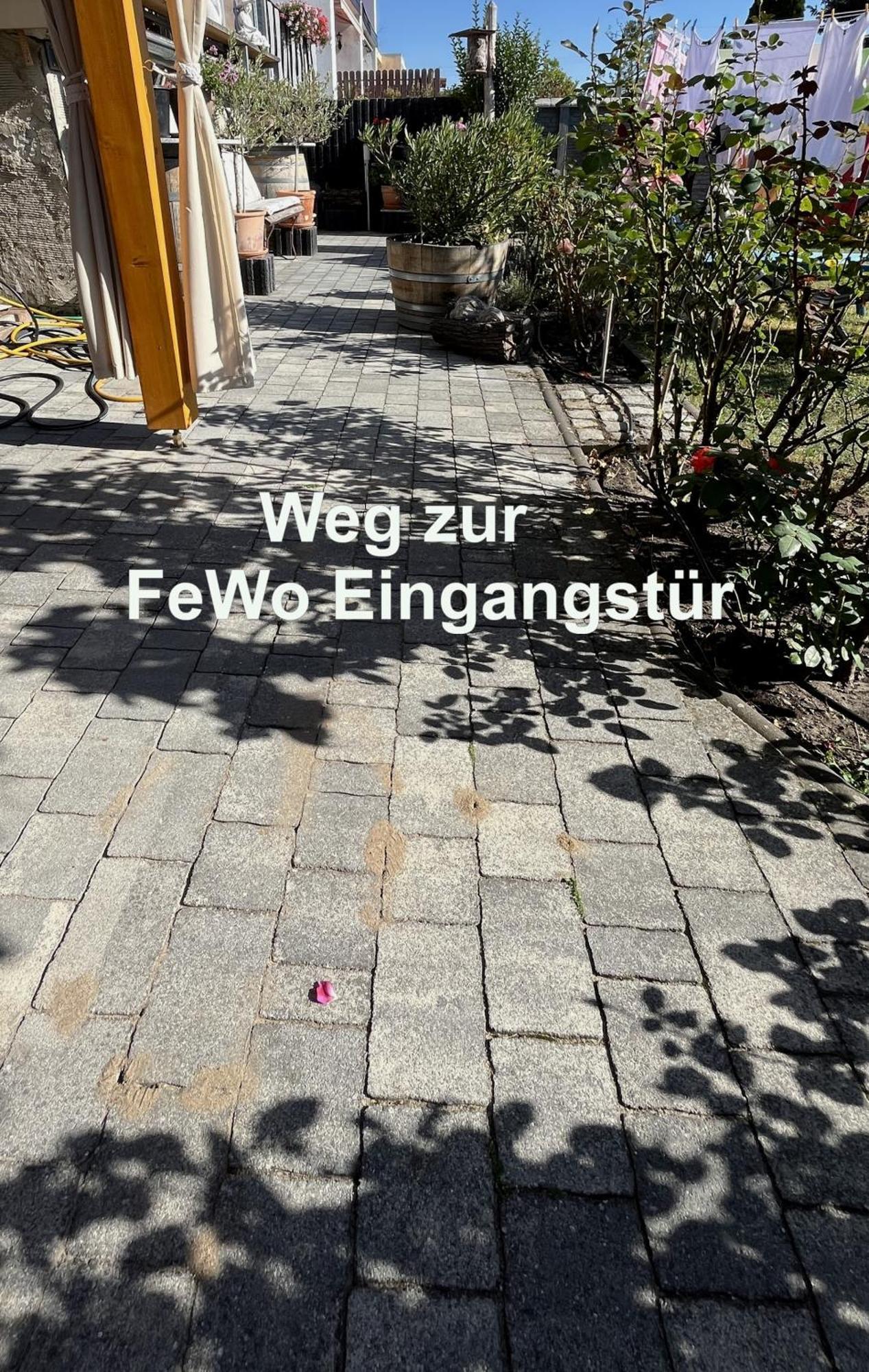 Die Ferienwohnung - Wittenberg An Den Elbwiesen Exterior foto